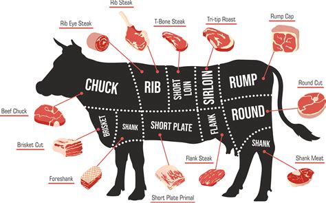 牛肉部位全解析！你知道如何選擇最適合的牛肉部位嗎？