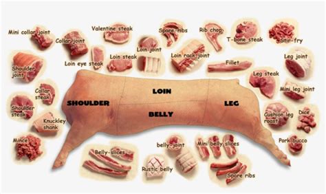 豬肉部位介紹：豬肉的美味奧秘在哪裡？